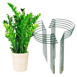 花支撑架金钱树植物半圆花支架防倒伏支撑杆龟背竹虎皮兰护叶架子