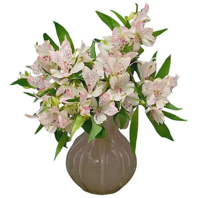 水仙百合鲜花花期长云南直发顺丰