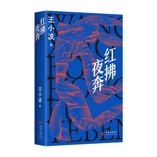 【现货】红拂夜奔 王小波 李银河 抵抗倦怠与无趣 向更大的世界奔去 当代文学名著 长篇小说经典 2025新版