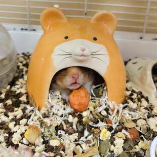 仓鼠躲避屋可窥金丝熊专用四季通用陶瓷小房子花枝鼠睡窝宠物用品