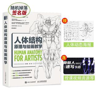 海报】人体结构原理与绘画教学 肖玮春 游戏动漫手绘技法素描临摹