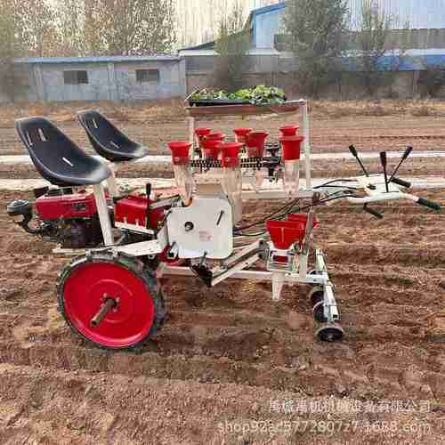 自走式蔬菜移栽机2行4行移苗机辣椒茄子西红柿花卉药材移栽机