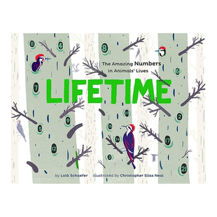 【预售】Lifetime: The Amazing Numbers in Animal Lives寿命 英文儿童绘本适合3-6岁原版进口图书书籍