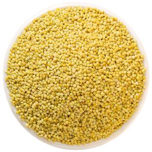 鹦鹉专用新黄谷子带壳小米玄凤鸟粮饲料粮食芦丁鸡珍珠文鸟食小型