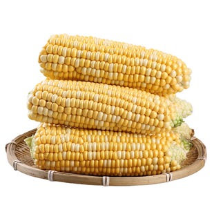 现摘金银水果玉米新鲜甜玉米开袋即食嫩玉米生吃爆浆鲜玉米包邮