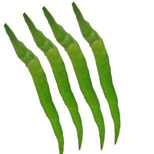 二荆条辣椒新鲜四川1斤3斤包邮中特辣食用5斤重庆农家菜薄皮青椒