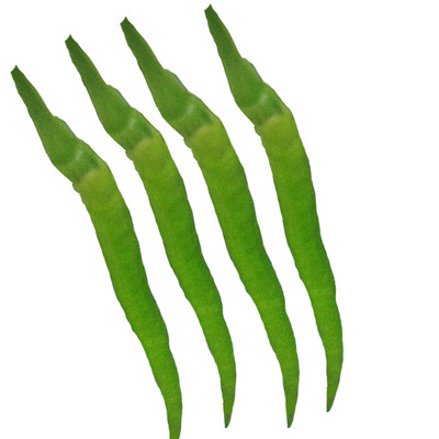 青辣椒二荆条新鲜当季特辣线椒