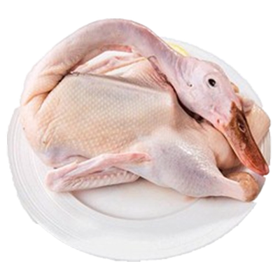 老鸭子新鲜现杀发顺丰土鸭鸭子