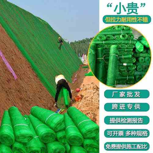 15两三层护坡三维植被网边坡植草筋固加土工网绿化防护垫河道网三