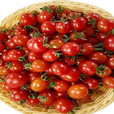 清甜2号圣女果孕妇水果