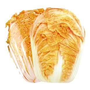 山东火凤凰白菜种子种籽孑籽种秋季冬季红心菜籽大全过年黄心白莱