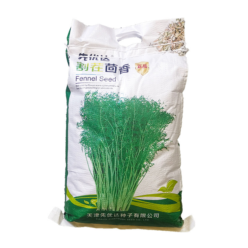 扁杆四季割了又长大茴香种子