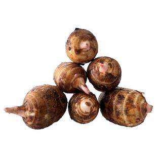 红芽芋头江西特产农家自种新鲜蔬菜小芋艿泥芋仔毛芋软糯现挖当季