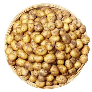 湖北恩施土豆新鲜高山黄心小土豆农家自种马铃薯硬币迷你小土豆