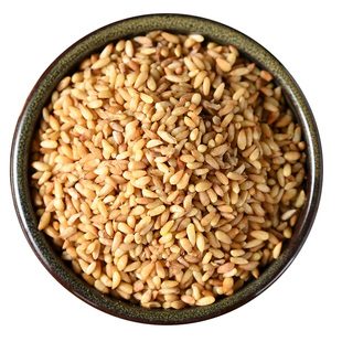 寻百草柏子仁中药材正品罐装柏籽仁柏子仁泡茶泡水250g可搭酸枣仁