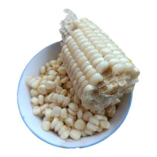 新鲜甜粘糯玉米棒即食营养早餐速食真空装苞米粗粮代餐10支装礼品