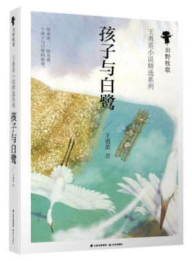 孩子与白鹭书青少年版正版小学三年级阅读四五六年级课外书王勇英著彩色插图版云南出版集团晨光出版社风信子纯美儿童文学小说系列