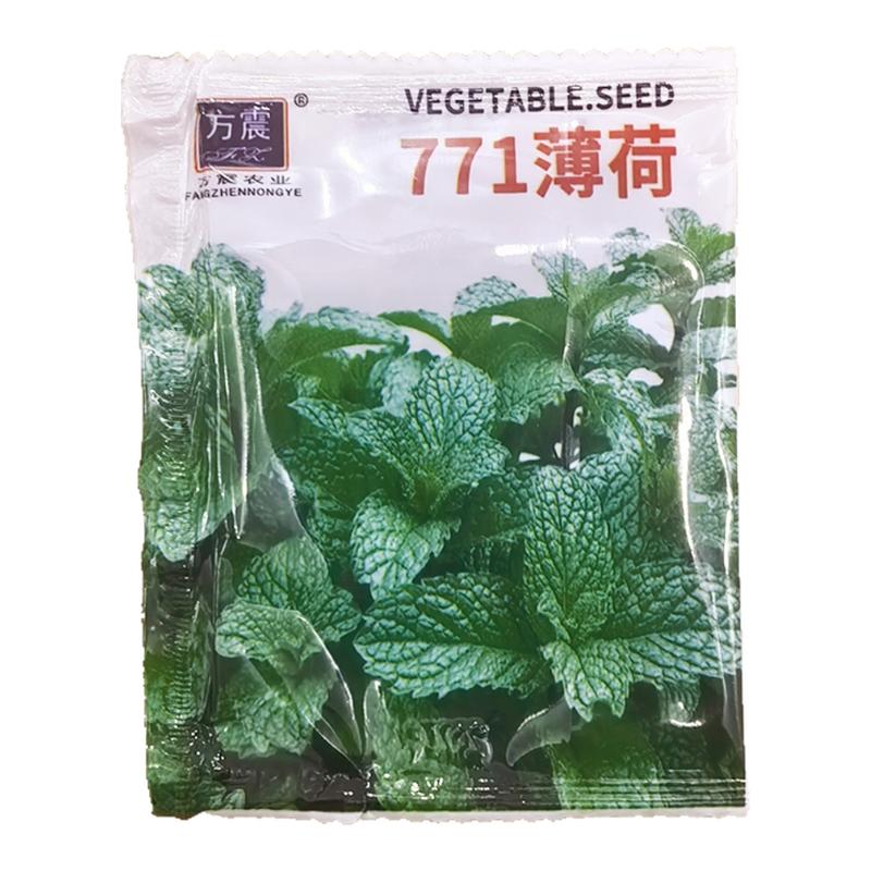 薄荷种籽子可食用驱蚊四季种植留兰香香水猫薄荷室内阳台盆栽种子