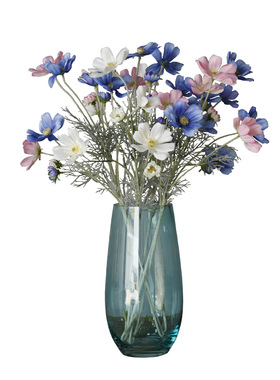 清新花艺菊花波斯菊格桑花格桑菊
