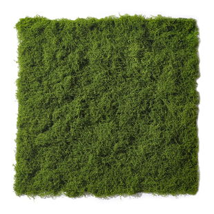 仿真苔藓草皮造景假青苔绿植墙面草坪庭院橱窗装饰场景布置微景观