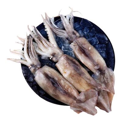 鱿师傅和风冰卷鱿鱼商用食材