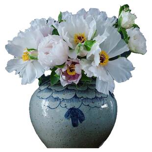 油画牡丹鲜切花进口芍药重瓣鲜花油画牡丹花束家庭插花云南基地