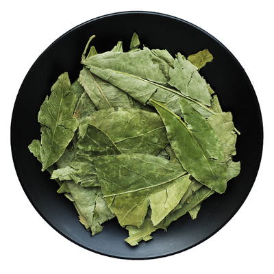 新鲜橘叶干片冷库保鲜手选中药材