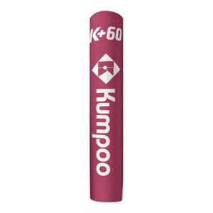 薰风新款羽毛球鹅毛耐打飞行稳定专业训练俱乐部用球熏风K+60