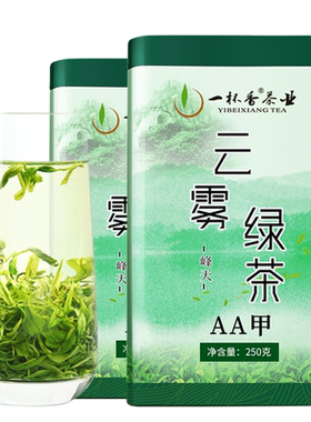2026新茶一杯香云雾绿茶500g