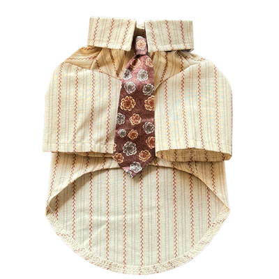 老钱优雅～bluetime宠物猫衣服秋冬比格西施博美衬衫泰迪秋装帅气