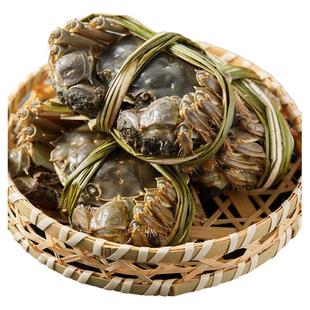 活蟹残蟹裸重4两公蟹3两母蟹大残蟹固城湖大闸蟹鲜活螃蟹断脚蟹残