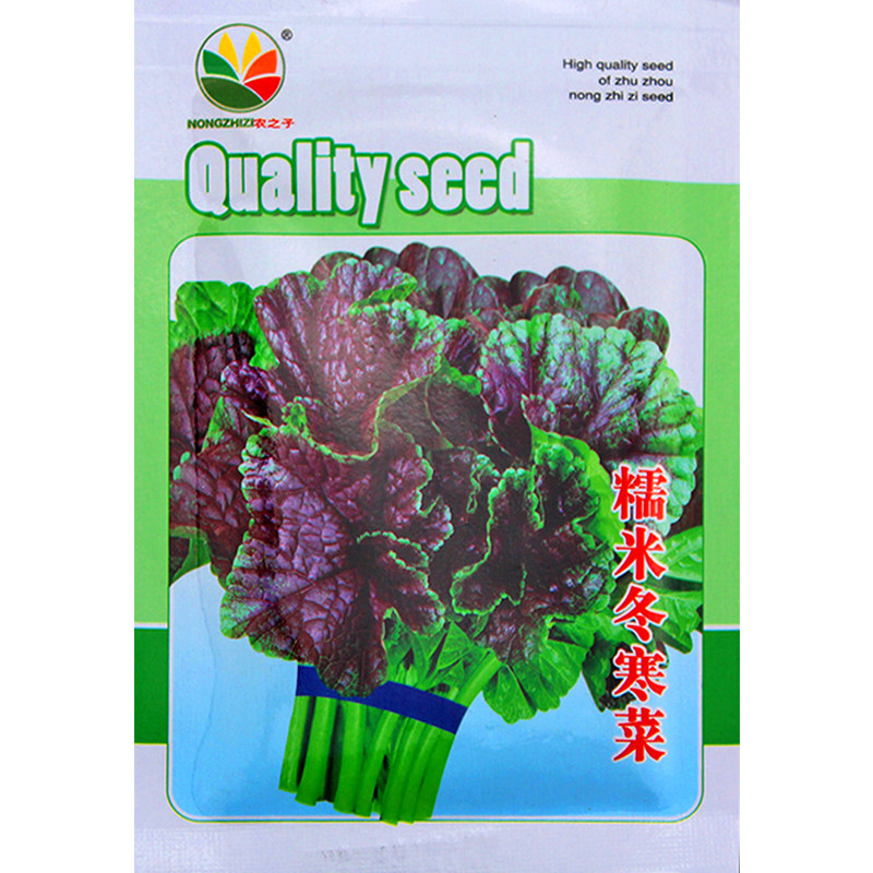 冬寒菜种籽冬苋菜种子冬天菜种秋季冬季籽种蔬菜苗青菜孑菜籽菜苗