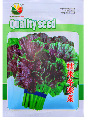 冬寒菜种籽冬苋菜种子蔬菜苗青菜