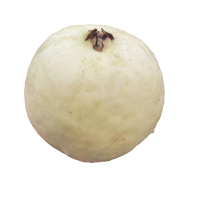 福建漳州当季番石榴心软芭乐