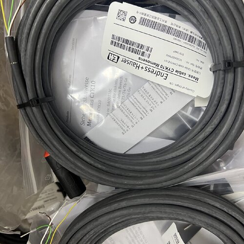 议价EH原装CPS11D电极电缆CYK10-E101电缆10米防爆CYK10-G101