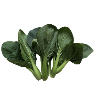 京东顺丰包邮露天霜冻新鲜农家小青菜苏州青嫩青菜小油菜小白菜