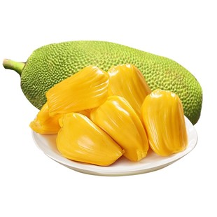 海南菠萝蜜一整个批发干苞新鲜大果当季现摘三亚保亭特产老树果