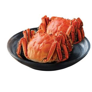 年货活蟹现货苏州精品大闸蟹金秋礼盒团购特大全公螃蟹6两鲜活