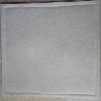 老肯肯格王巨光天田空气消毒机过滤网壁挂空气消毒器过滤器棉布芯