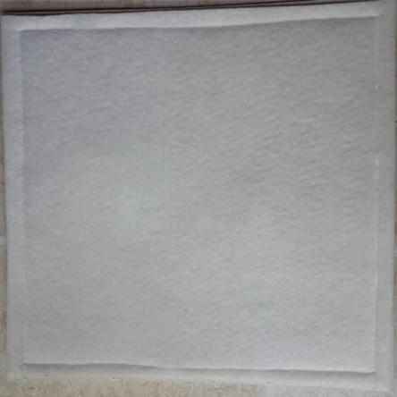 老肯肯格王巨光天田空气消毒机过滤网壁挂空气消毒器过滤器棉布芯