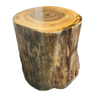 香樟木墩实木根雕凳子茶桌木桩墩子茶几墩子原木树墩圆墩子木桩