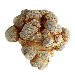 云南文山春三七30头20头滑头三七头田七500g 水洗足干 超细三七粉