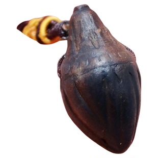 德格县噶谷闭关禅修林 民族风 FW亲制娘拉擦擦 魔敌擦擦 项链吊坠