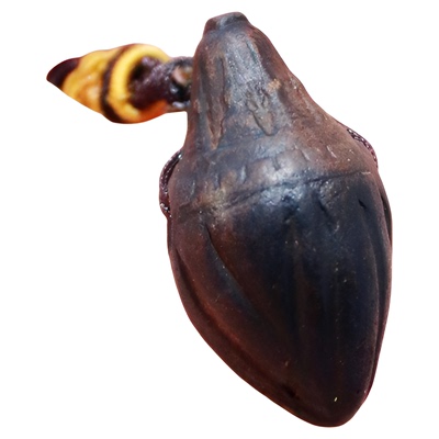 德格县吊坠噶谷闭关娘拉擦擦通用