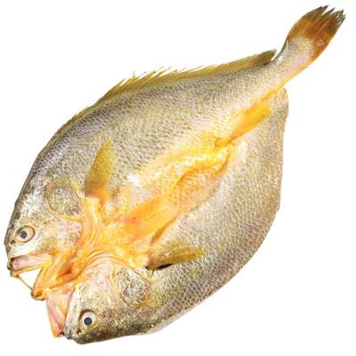 活鱼鲜杀3条无冰特大黄鱼鲞顺丰