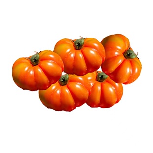 贵州马蹄番茄本地西红柿农家新鲜老西红柿马蹄贵州老品种西红柿