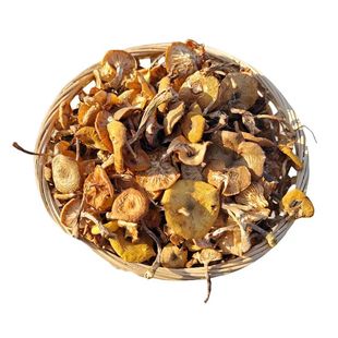 【榛质信】东北特产野生榛蘑干货八月末头茬蘑菇嫩芽小丁250克