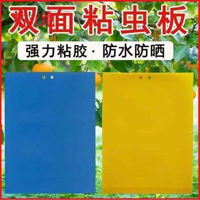 新疆包邮双面粘虫板诱虫板粘苍蝇贴黄贴纸自粘防虫蓝板篮板粘虫子