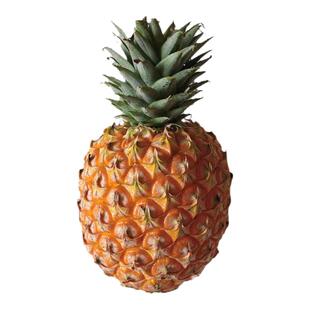 海南芒果凤梨网红金钻菠萝顺丰礼盒一件包邮台农23号金芒凤梨