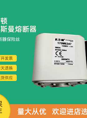 议价全新快速熔断器保险170M6347 170M6348 170M6349 170M6358